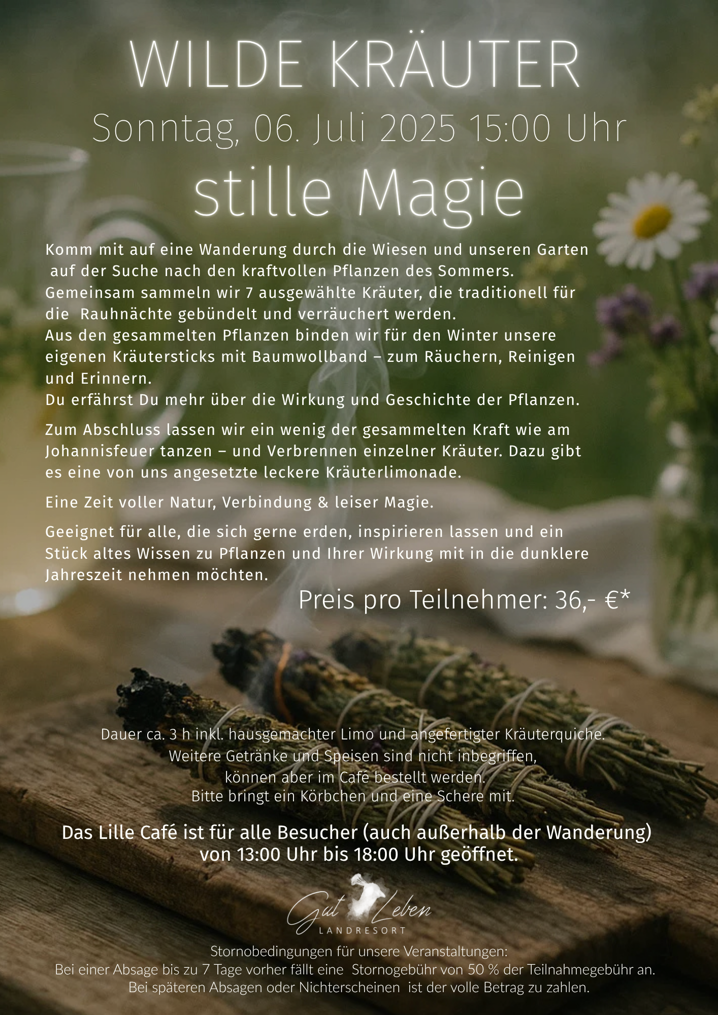 WILDE KRÄUTER - stille Magie