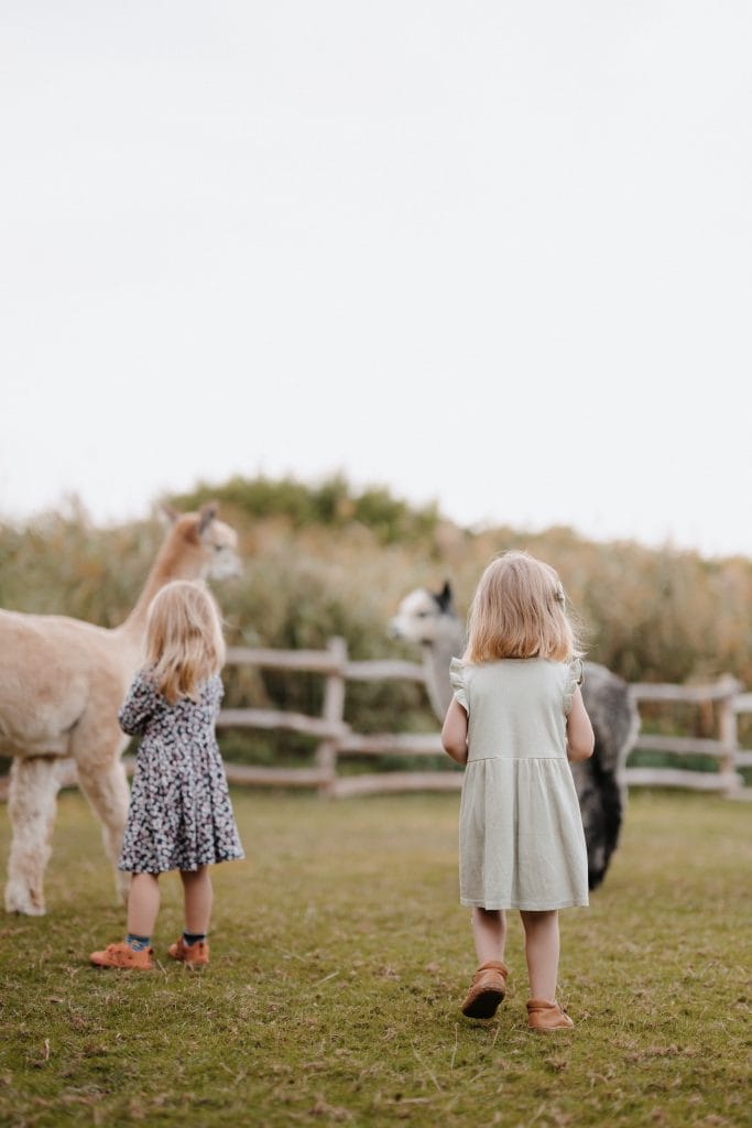 Ländliche Tiererlebnisse in Berlin, Kinder füttern Lama und Alpacas, Natur, Erlebnis, Naturpädagogik, Tierfreunde, outdoor, Nachhaltigkeit.
