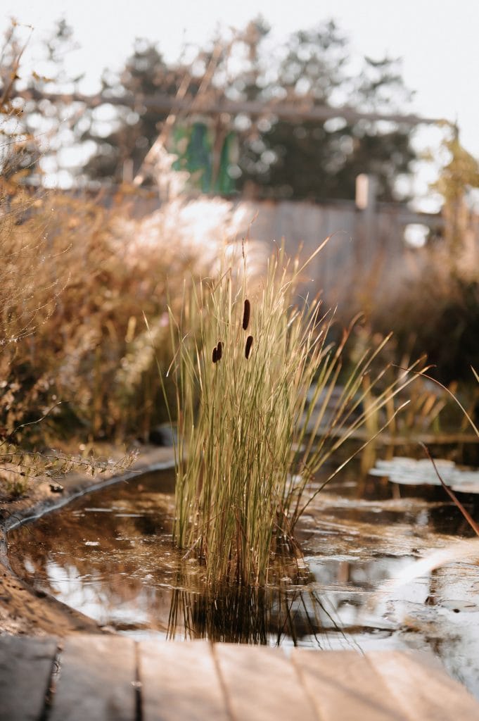 Natürlich! Hier sind die SEO-optimierten Texte für das Bild:.