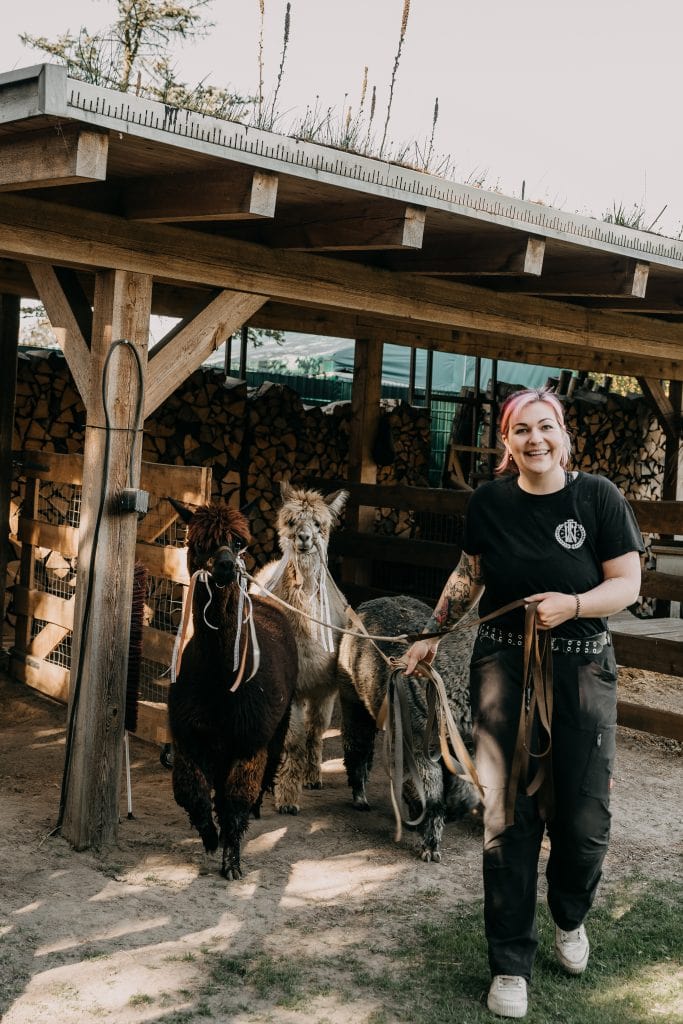 Alte Textilwand am Hof mit Kletterpflanzen und Holzstämmen.