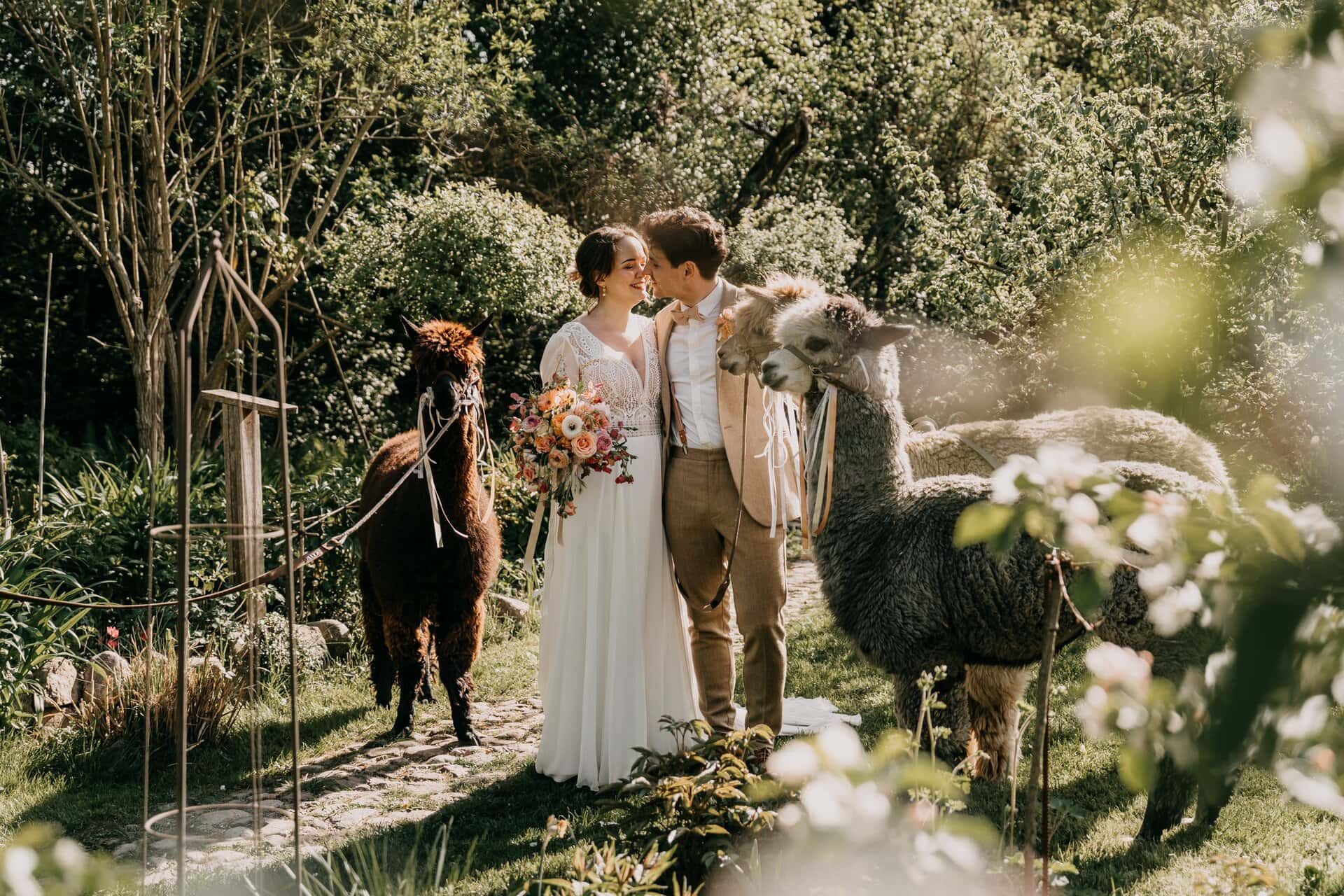 Naturromantische Hochzeitsfotografie im Garten mit Alpacas, Liebe und Naturverbundenheit festhalten.