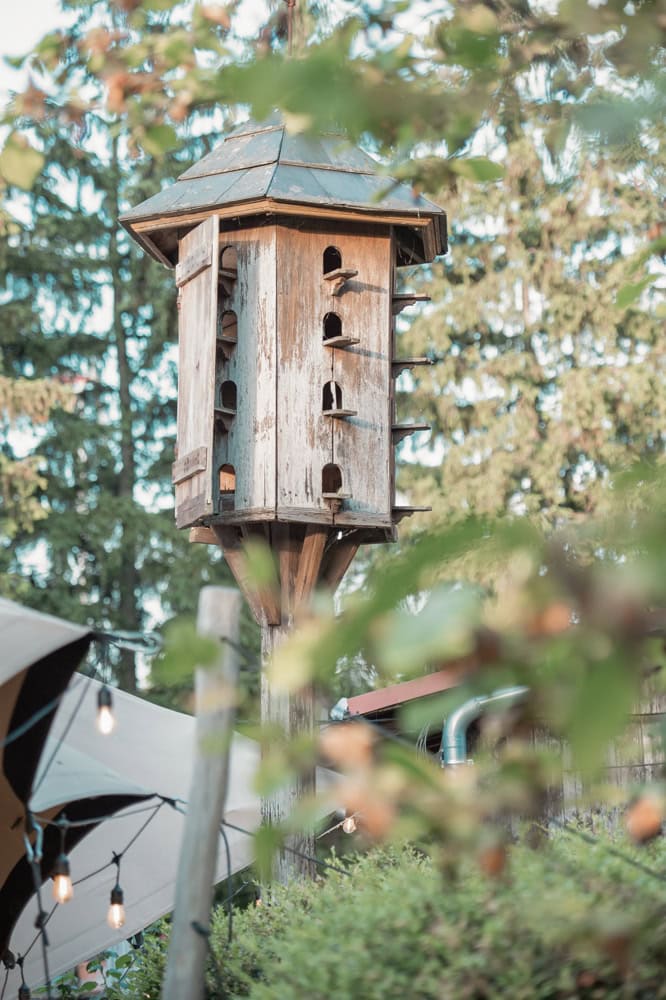 Vogelhaus im Garten, Natur, Naturverbundenheit, nachhaltiges Wohnen, Umweltschutz.