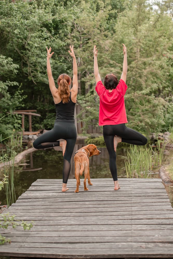 Entspannende Yoga-Übung am See im Grünen.