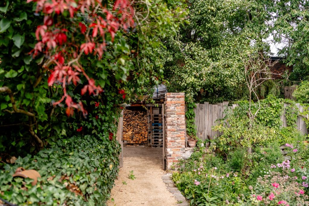Garten mit Holzlager, grünen Pflanzen und gemütlicher Atmosphäre in Berlin.