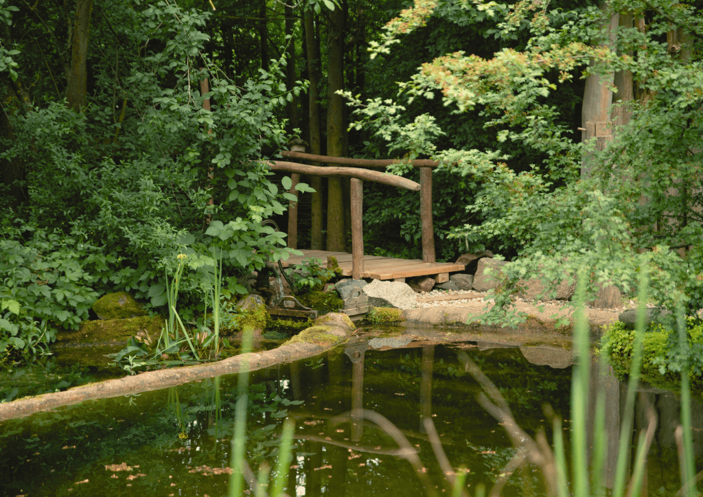 Ruheort im Gr&uuml;nen, naturbelassenes Wasser im direkten Kontakt zu lebendiger Pflanzenwelt.