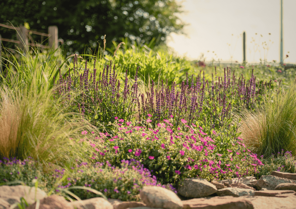 Vielfalt an bunten Blumen im Garten für ein gesundes Leben und Wohlbefinden.
