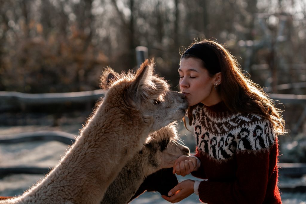 Natürliche Tierfotografie bei Gut Leben Berlin – Mensch und Lama in Harmonie.