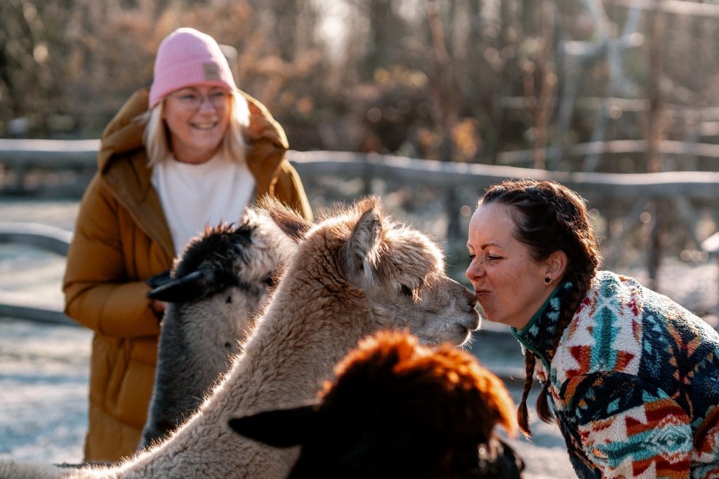 Lamas kuscheln, Naturerlebnis, Tierkontakt, entspannt, Outdoorspa&szlig;, nachhaltige Erlebnisse, Familie, Tierliebe, Gut Leben Berlin.