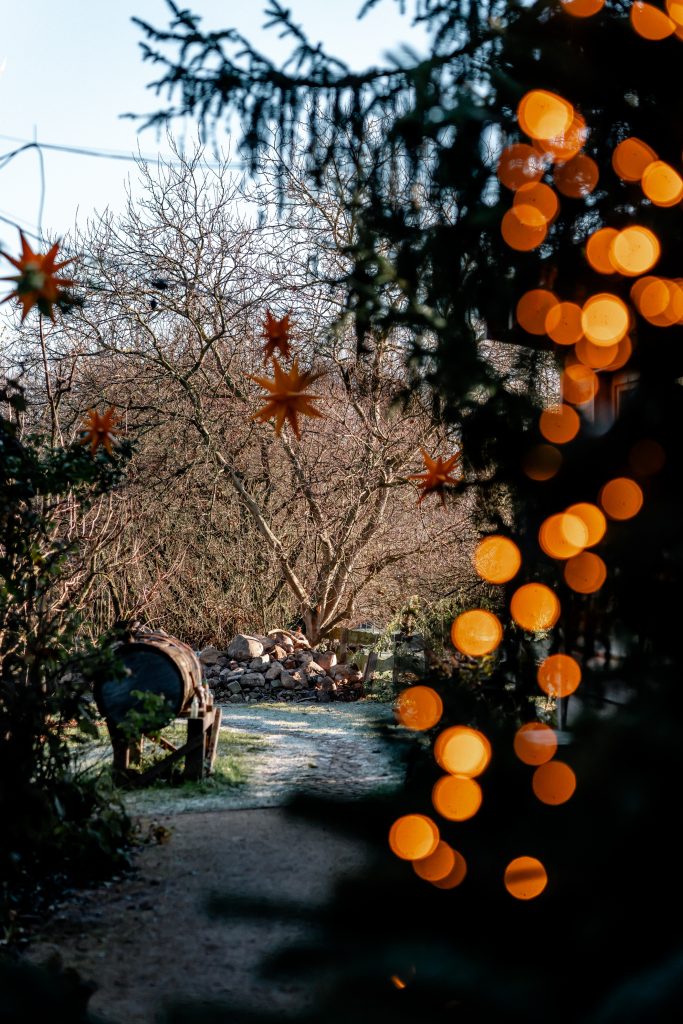 Gemütliche Weihnachtsdekoration mit Lichterketten im Garten.
