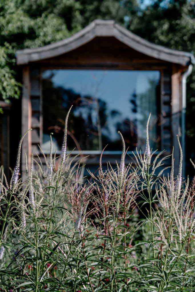 Naturgarten mit Kr&auml;utern und Stauden vor einer kleinen Holz-Vogelvoliere, nachhaltige Gestaltung.