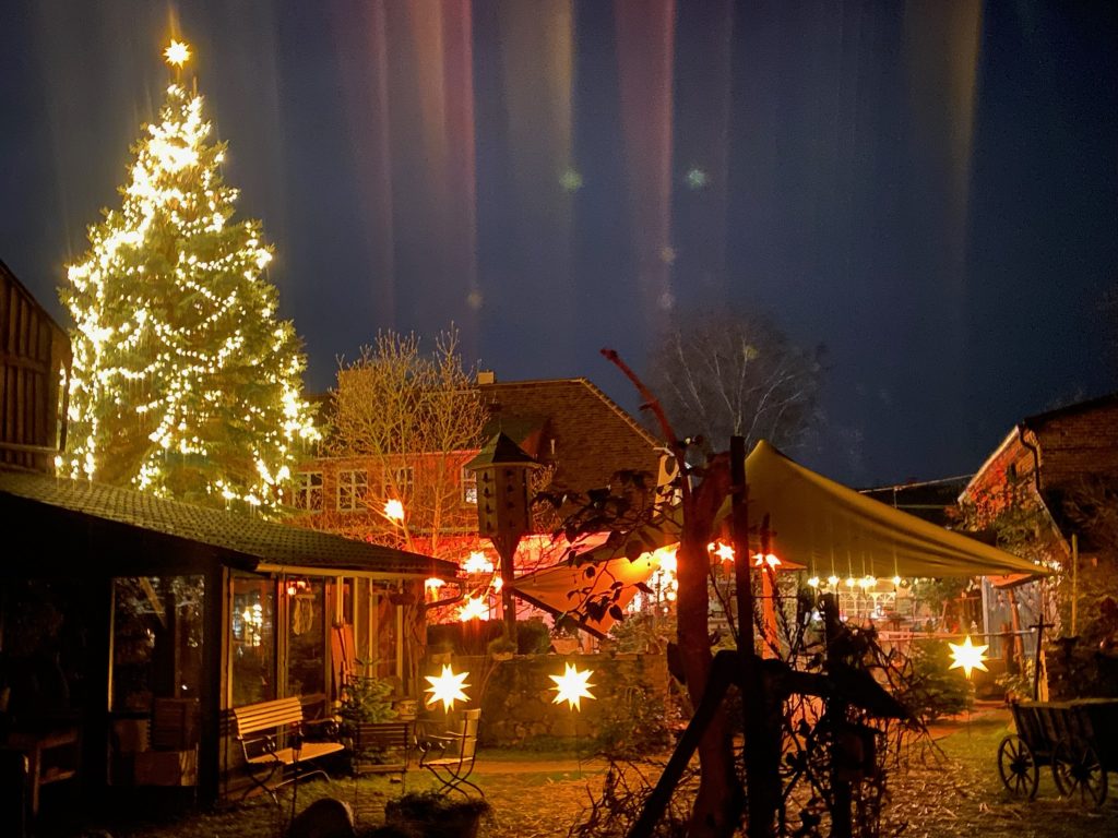 Festlicher Weihnachtsbaum mit Lichterketten bei Gut Leben in Berlin.