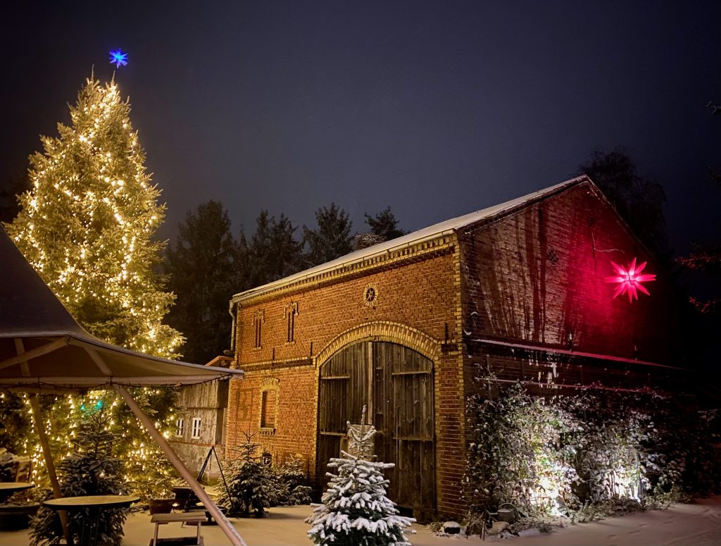 Festlich geschm&uuml;ckter Weihnachtsbaum vor altem Backsteingeb&auml;ude bei winterlicher Nacht, stimmungsvolle Weihnachtsbeleuchtung.