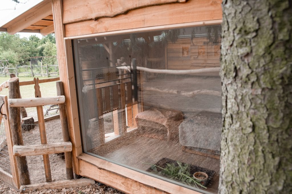 H&uuml;tten im Naturschutzgebiet mit gem&uuml;tlichen Innenraum, ideal f&uuml;r nachhaltigen Urlaub in Berlin.