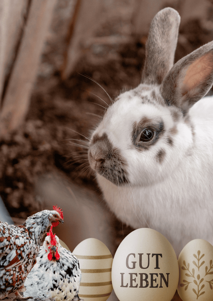 Naturverbundenes, gepflegtes Tierwohl und nachhaltige Landwirtschaft bei Gut Leben Berlin.