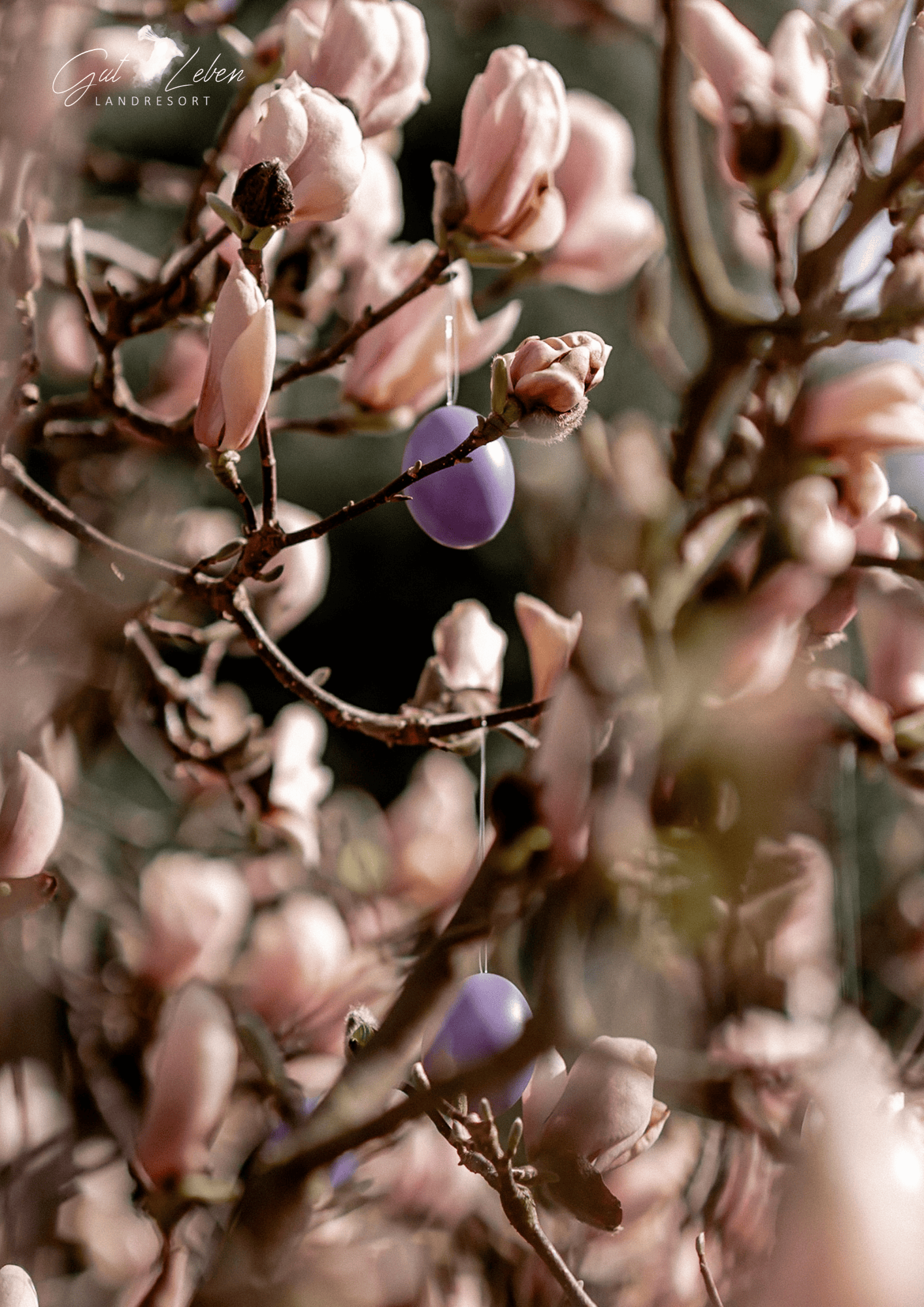 Sanfte Frühlingsblüten mit Ostereiern – Natur, Entspannung, Wohnen, Auszeit.