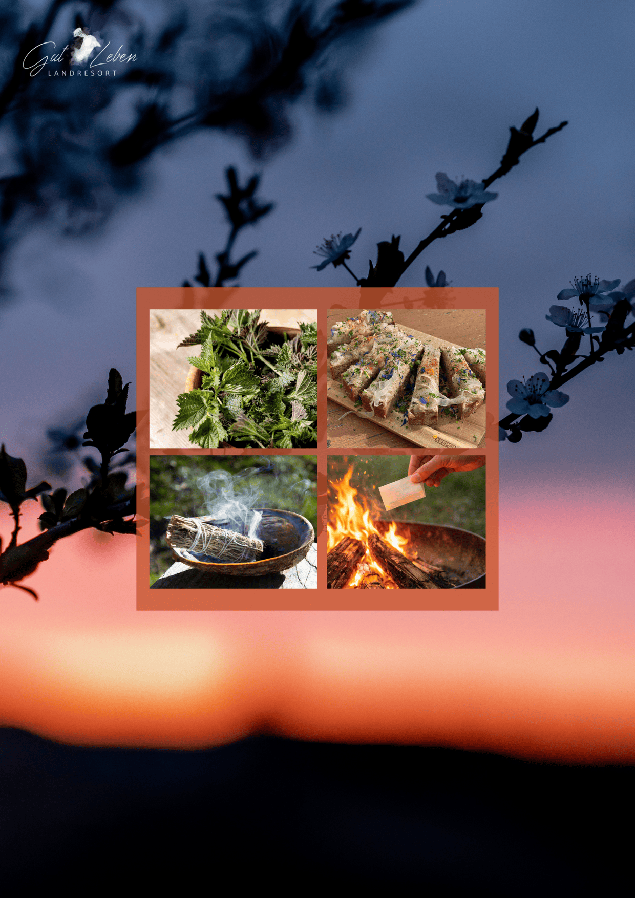 Natur, Essen und Feuer beim Mittsommer Workshop im Gut Leben Berlin.