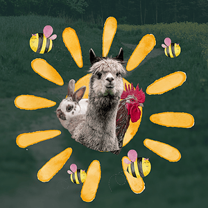 Kinder mit Tieren, Lamas, Kaninchen und Huhn bei Weltkindertag.