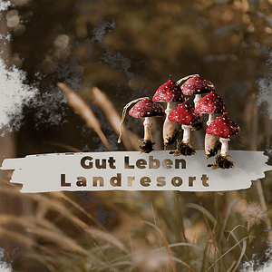 Pilzgruppe mit roten Fliegenpilzen im Wald, Text 'Gut Leben Landresort'.