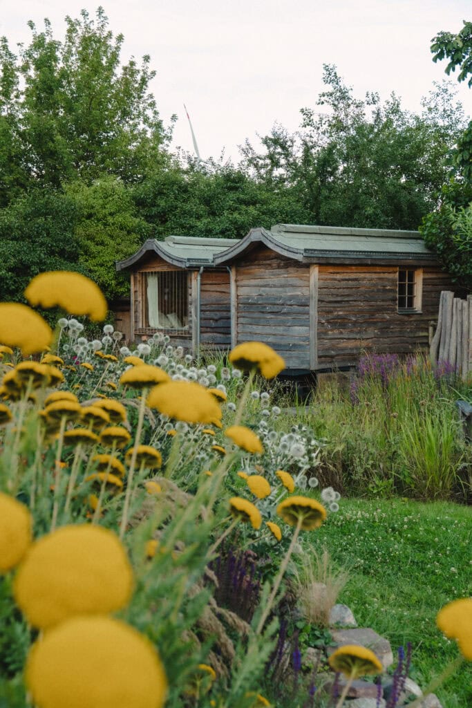 Gemütliches Holzhaus in einem blühenden Garten bei Gut Leben.
