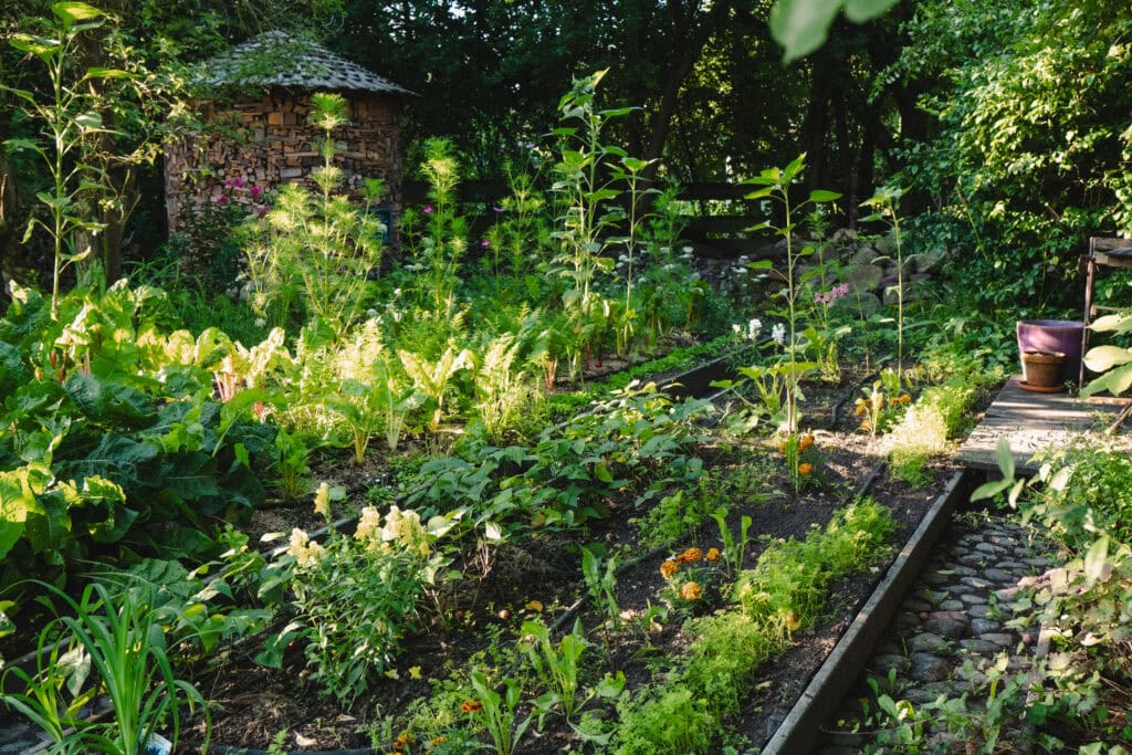 Üppiger Garten mit Gemüsepflanzen und Blumen im Grünen.