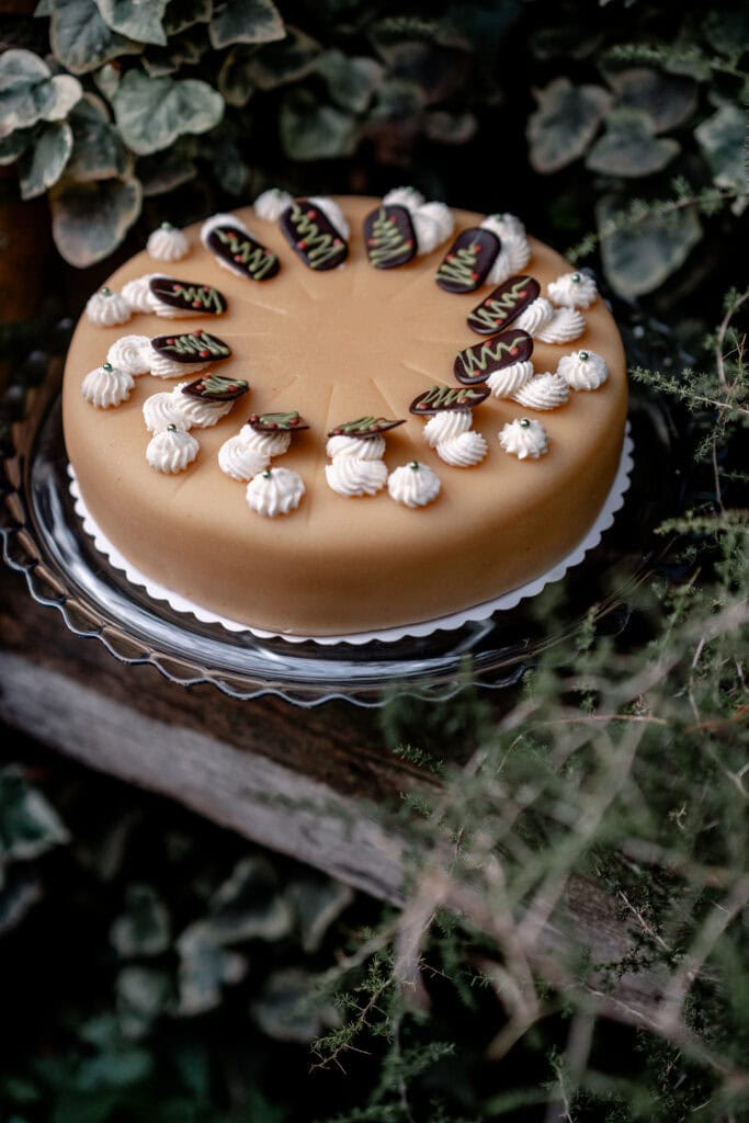 Kuchen mit Schokoladendekoration und Sahnehäubchen auf natürlichem Hintergrund.