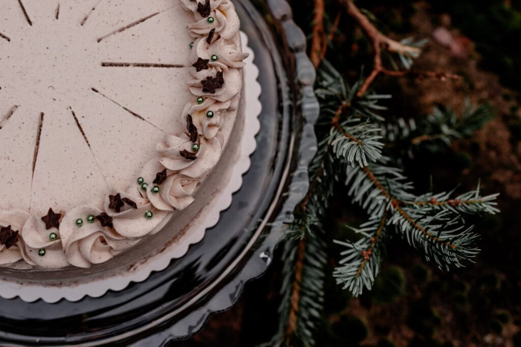 Festliche Torte mit Weihnachtsdekoration und Tannenzweigen im Hintergrund.
